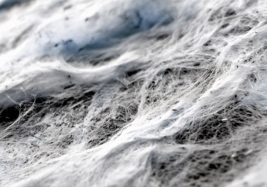 certania_services_Asbestos_inspection certania_services_Asbestos_inspection