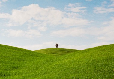 certania_services_environmental_standards certania_services_environmental_standards