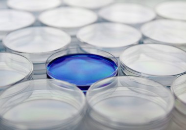 certania_services_Quality_control_samples certania_services_Quality_control_samples