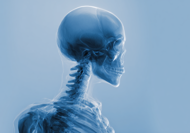 260120_CERTANIA_Spineserv_AI_HumanSkeletonXRay 260120_CERTANIA_Spineserv_AI_HumanSkeletonXRay